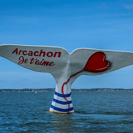 T2 Coeur De *